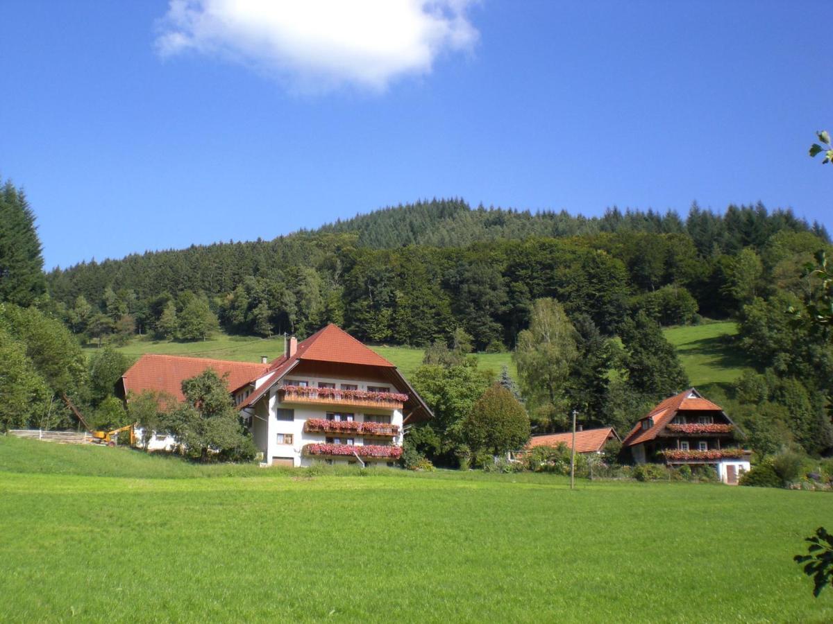 شقة Geigerbauernhof Mühlenbach المظهر الخارجي الصورة