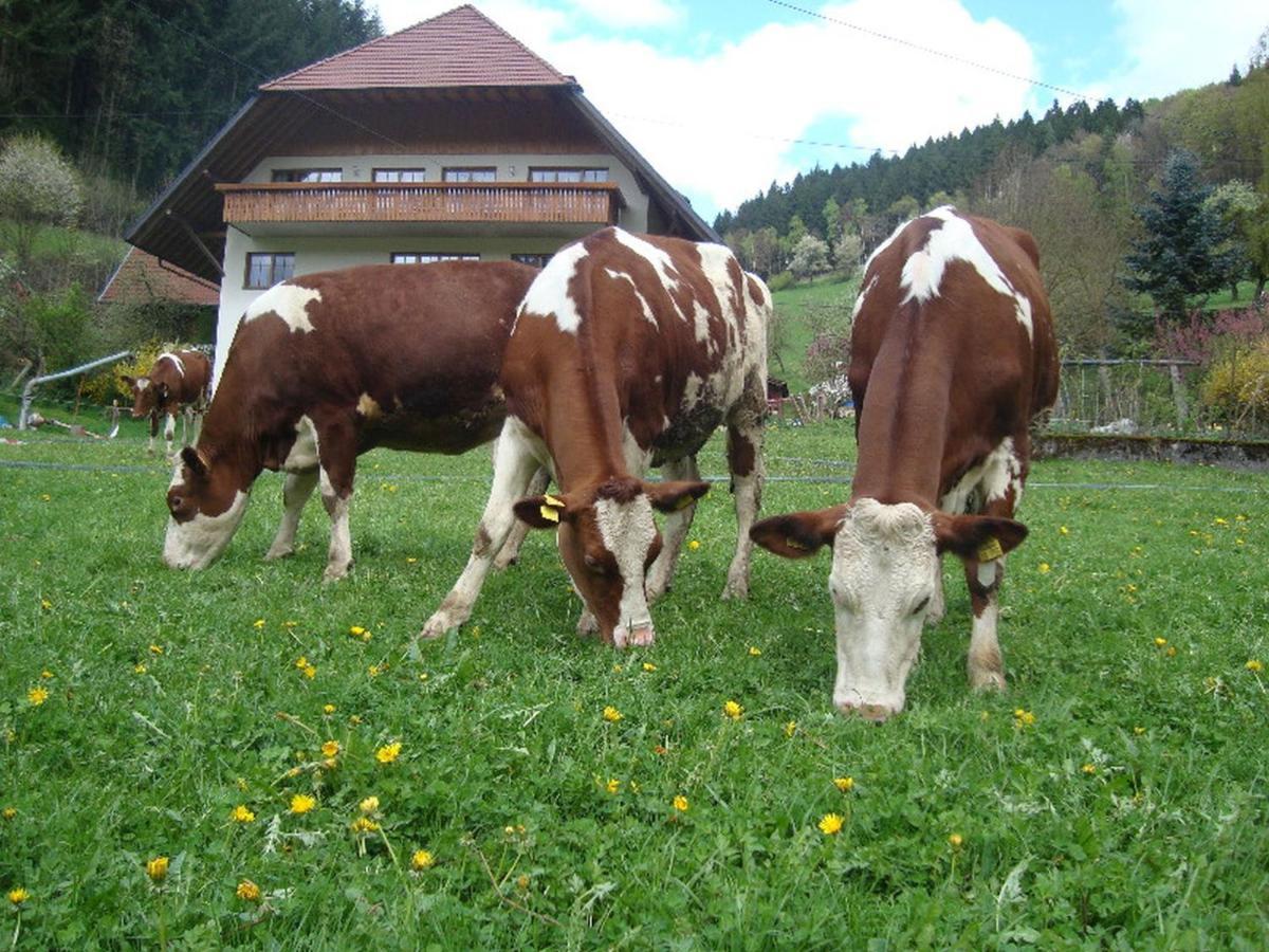 شقة Geigerbauernhof Mühlenbach المظهر الخارجي الصورة