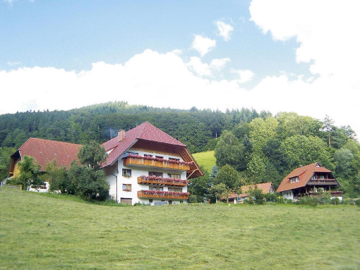 شقة Geigerbauernhof Mühlenbach المظهر الخارجي الصورة