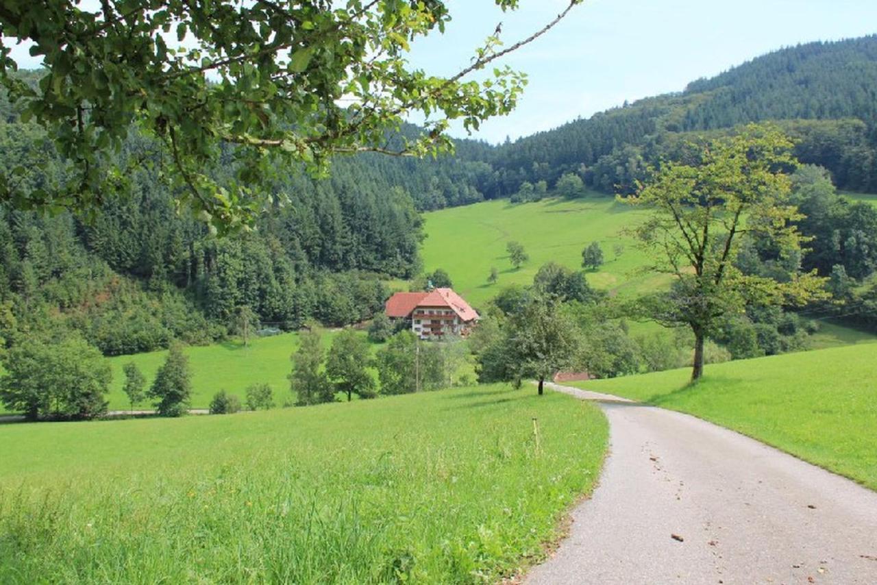 شقة Geigerbauernhof Mühlenbach المظهر الخارجي الصورة
