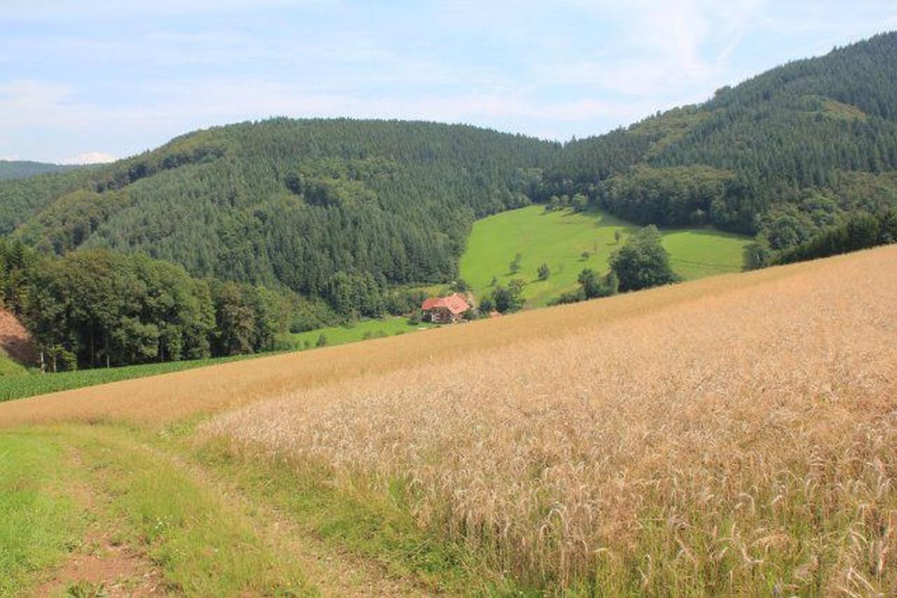 شقة Geigerbauernhof Mühlenbach المظهر الخارجي الصورة